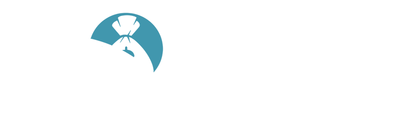 Novae Tax Software